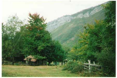 Casa el Monte Rioaller (Asturias)