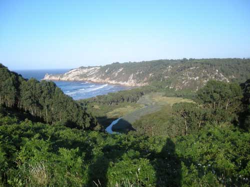 Barayo Reserva Natural (Asturias)