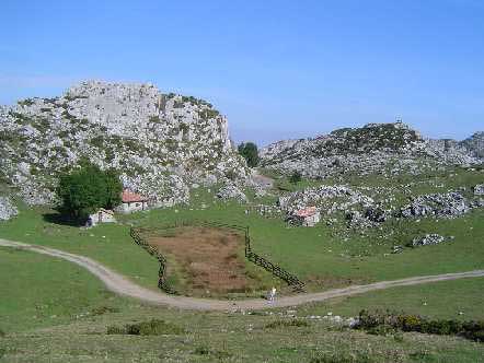 Majada  La Llomba (Picos de Europa-Asturias)