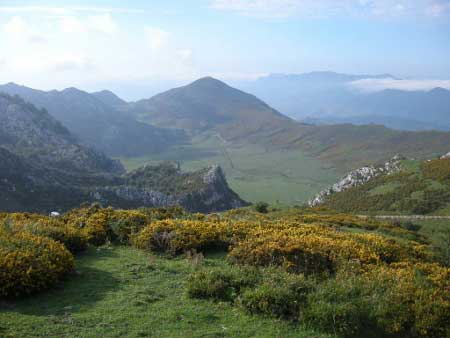 Poljé de la Vega de Comeya (Covadonga-Asturias)