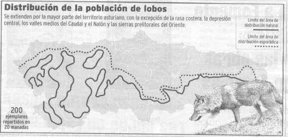 Mapa con la  distribución del lobo en Asturias