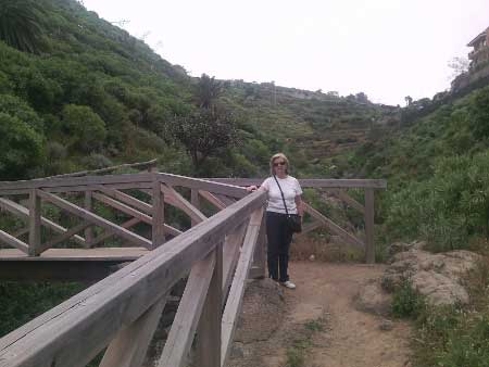 Puente sobre el barranco de Palo Largo