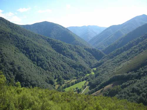 Bosque Muniellos (Asturias)