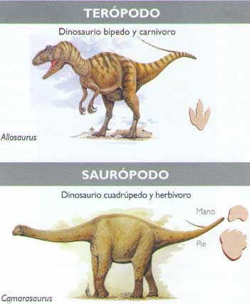 Dinosaurio Terópodo y Saurópodo