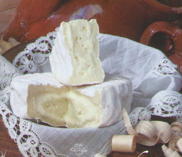 Queso Cueva de Llonín (Peñamellera  Alta (Asturias)