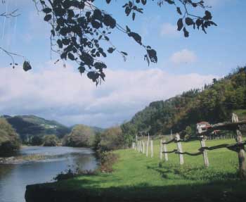 Valle del Narcea por Cornellana (Asturias)