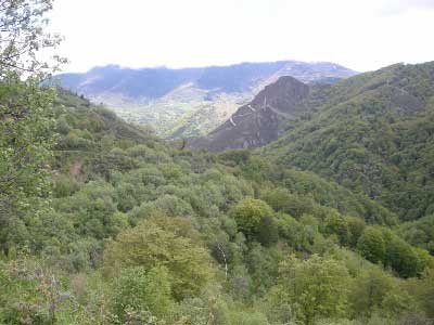 Bosque de Valgrande zona oriental (Asturias)