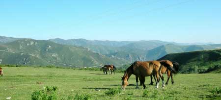 Sierra de El Palo (Allande), paso del Camino Primitivo (Asturias).