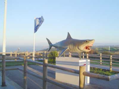 Centro del Ambiente Marino de Cabo Peñas (Asturias)
