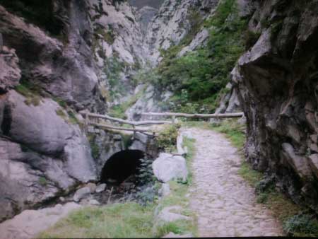 Hoces de El Pino (Aller-Asturias)
