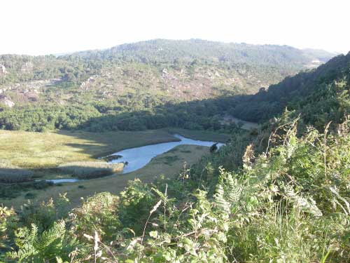 Reserva de Barayo Navia (Asturias)