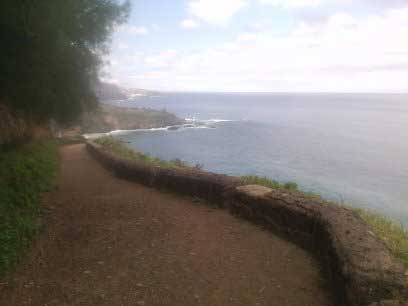 Senda por  la Rambla de Castro (Los Realejos-Tenerife)