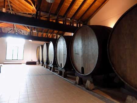 Pipas de sidra en el llagar Castañón (Quintueles- Asturias)