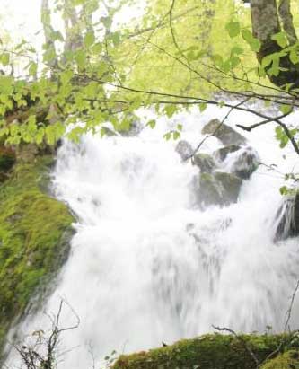 Garrafes o guirrafes en Quirós (Asturias)